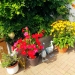 Ferienwohnung 2 - Fam. Birkholz